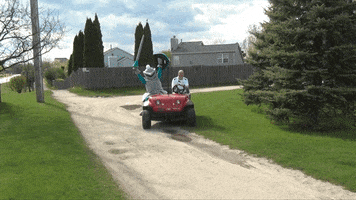 collegeoflakecounty school lets go college education GIF
