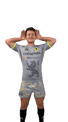 Sticker by Rugby Viadana 1970