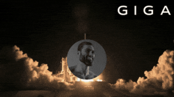 Crypto Rocket GIF by Gigachad