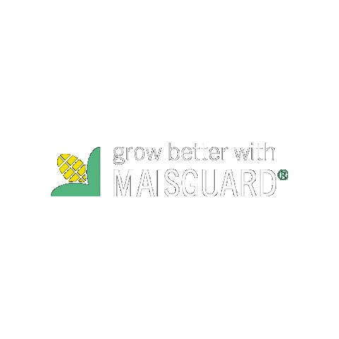 Seedforward Sticker