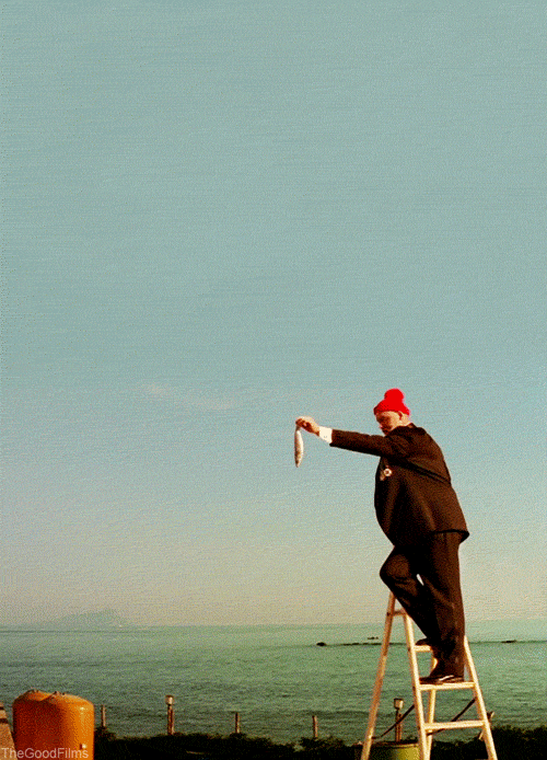 the life aquatic with steve zissou whale GIF by The Good Films