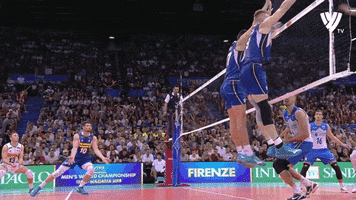 Get Ready Reaction GIF by Volleyball World