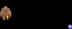 GIF by GTTWHSPR