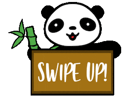 Swipe Up Panda Bear Sticker by EcoYou