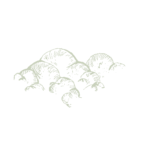 Sticker by Kasa Suasa