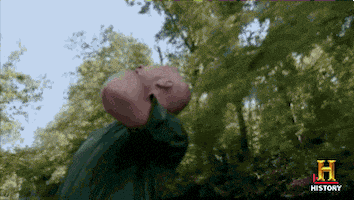 awkward history GIF by Swamp People