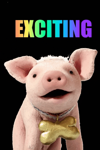 Fun Wow GIF by Gusto Entertainment - Find & Share on GIPHY