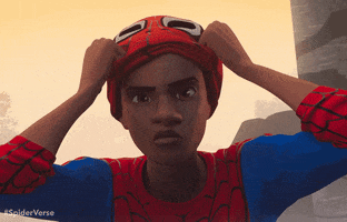 Spider-Man Marvel GIF by Spider-Man: Across The Spider-Verse