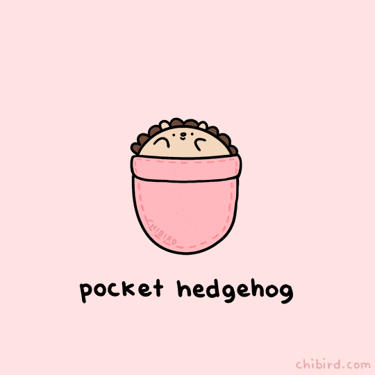 Hedgehog Hug GIF by Chibird - Find & Share on GIPHY