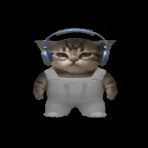 Cat Rocking Out GIF by POST-WEB