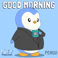 Good Morning Hello GIF by Pudgy Penguins