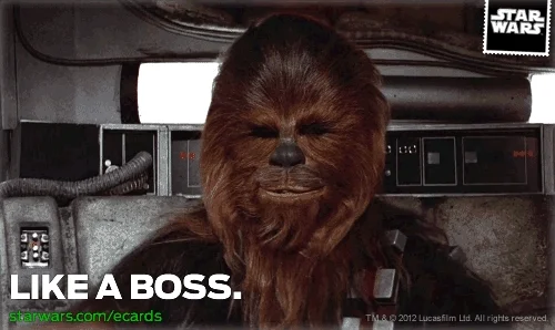 like a boss GIF