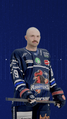 GIF by Iserlohn Roosters