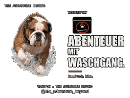 Bulldog Winston Sticker by The Adventure Beyond