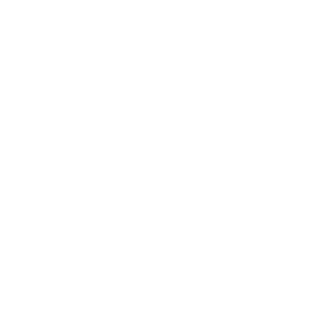 Dacia Sticker