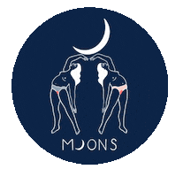 Respectthemoon Sticker by MOONS