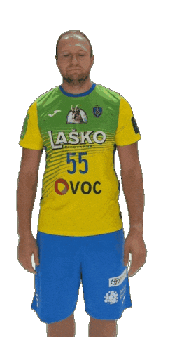 Handball Bow Sticker by RK CELJE