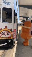 Cat Tram GIF by DinDong