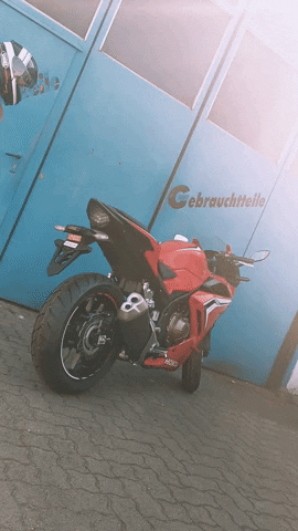 Riders_Point girl sexy ass motorcycle GIF