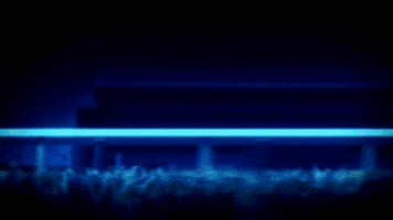 Shocked Horse Race GIF