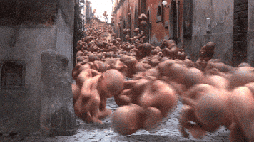 world wtf GIF