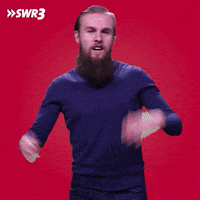 Oh My God Omg GIF by SWR3