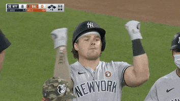 Excited New York Yankees GIF by Jomboy Media