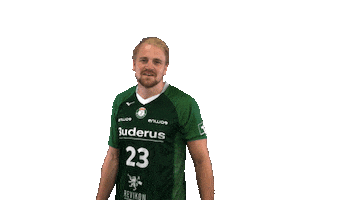 HSG Wetzlar Sticker