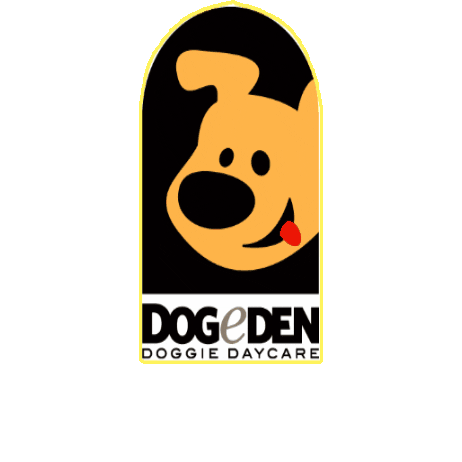 Dogeden Sticker