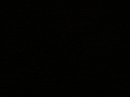 Drop Dead Couture GIF
