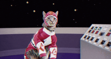 Mighty Morphin Power Rangers Cat GIF by Power Rangers