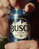 Busch Beer GIF by Busch