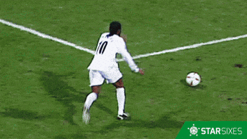 celebrate roberto carlos GIF by Star Sixes