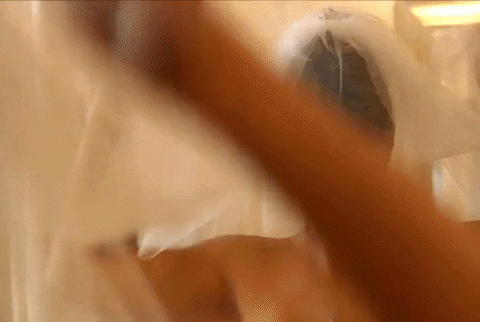 giphy.gif?cid=ecf05e47aikpi6z4y4z3m1caua