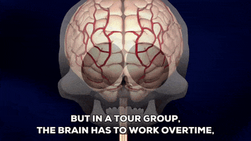 brain mind GIF by South Park 