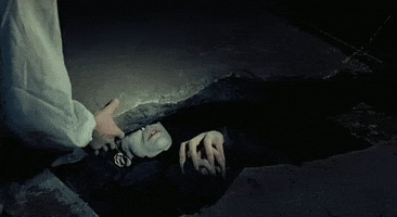 phantom der nacht vampyre GIF