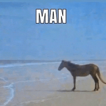 Sea Horse Man GIF