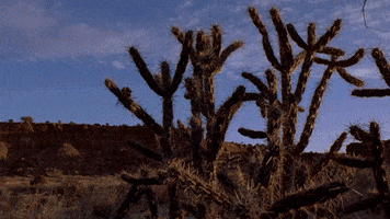 Breaking Bad GIF