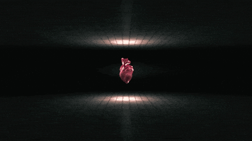 loop heart GIF by wilbrand