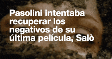 stephenlynemontgomery  GIF