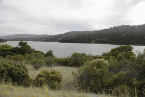 pra  GIF