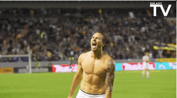 Sports gif. Alan Gordon of the Los Angeles Galaxy runs around without a shirt and kicks over a flag in celebration.