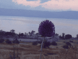 yxzpmjaxmdg1qgdtywlslmnvbq  GIF