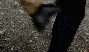 Jennifer Lopez Arrest GIF by Global Entertainment