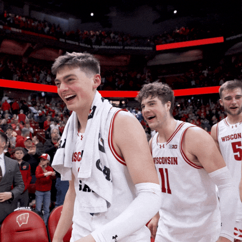 Happy College Sports GIF by Wisconsin Badgers