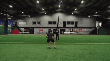 agility training GIF by Hockey Training