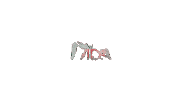 RENAL VIDA Sticker