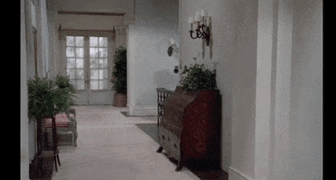 clover boombox dynasty heather locklear sammy jo GIF