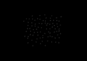 marggieriaza  GIF