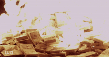 season 2 fire money usa burn GIF